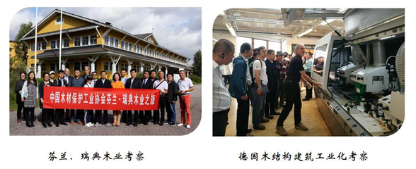 中國(guó)木材保護(hù)工業(yè)協(xié)會(huì)簡(jiǎn)介