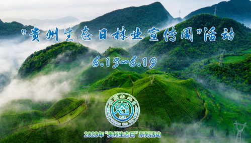 貴州生態日林業宣傳周 活動