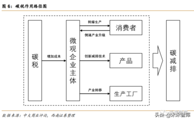 碳市場(chǎng)形成建設(shè)機(jī)制分析及林業(yè)碳匯案例