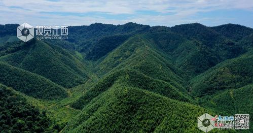 江西打造全國(guó)性生態(tài)產(chǎn)品與資源環(huán)境權(quán)益綜合交易平臺(tái)