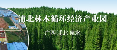 浦北林業(yè)循環(huán)經(jīng)濟(jì)產(chǎn)業(yè)園 廣西頻道 網(wǎng)上的人民日?qǐng)?bào)