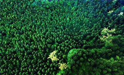 湖南提升基層林業科技推廣能力