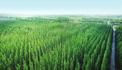 數十架F35被毀,軍事基地被襲,美軍惹不起真正兇手只能認慫